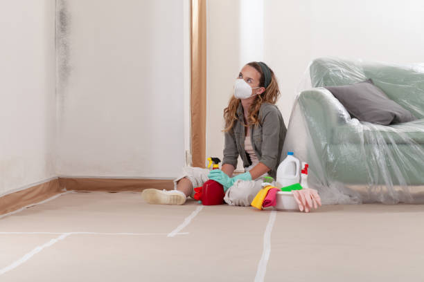 Reliable Mold Removal contractor in Ambler, PA by WQB Mold Removal